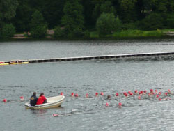 Gruppe mit Schimmern beim Triathlon