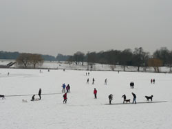 Zugefrorener Stadtparksee