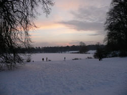 der Stadtparksee in der Abenddämmerung