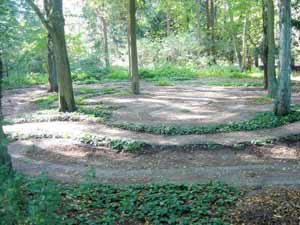 Labyrinth mit Pflanzen