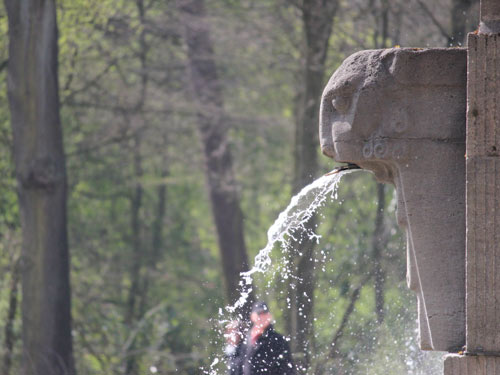 wasserspeiender Löwenkopf