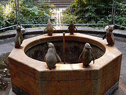 Pinguinbrunnen im Stadtpark Hamburg