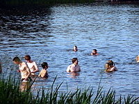 Baden und Schwimmen im Stadtparksee