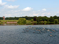 Schwimmende Triathleten, im Hintergrund das Planetarium